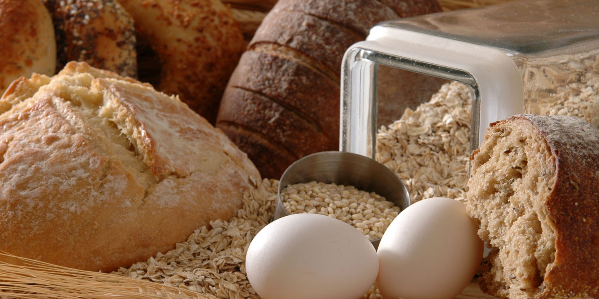 Brot- und Zwiebackherstellung